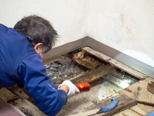 Best Post-Remediation Services in Ponca City, OK