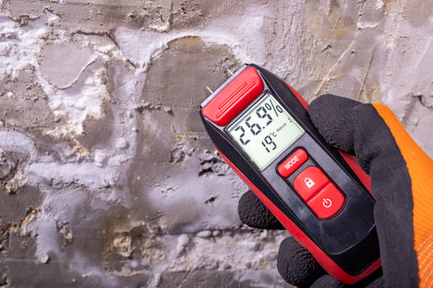 Best Residential Mold Remediation in Ponca City, OK
